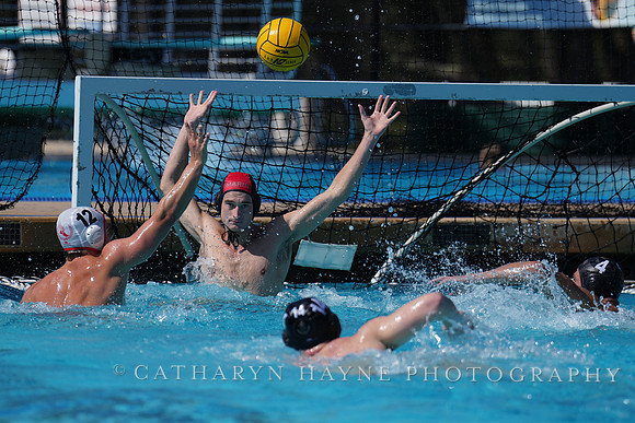 USAWP National League:Channel Cats vs New York Athletic Club