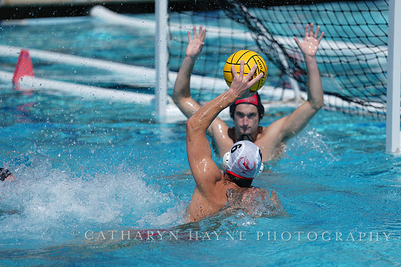 USAWP National League:Channel Cats vs New York Athletic Club