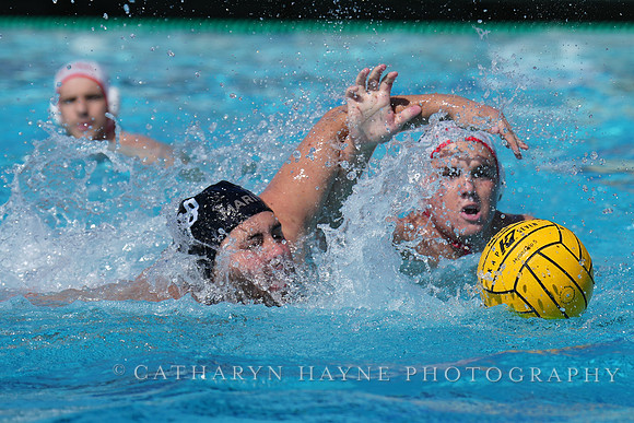 USAWP National League:Channel Cats vs New York Athletic Club