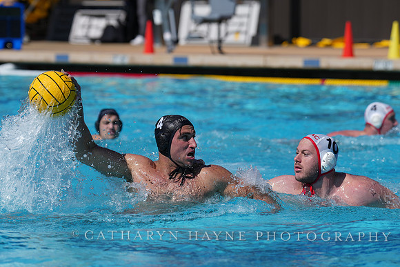 USAWP National League:Channel Cats vs New York Athletic Club