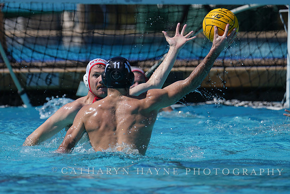 USAWP National League:Channel Cats vs New York Athletic Club