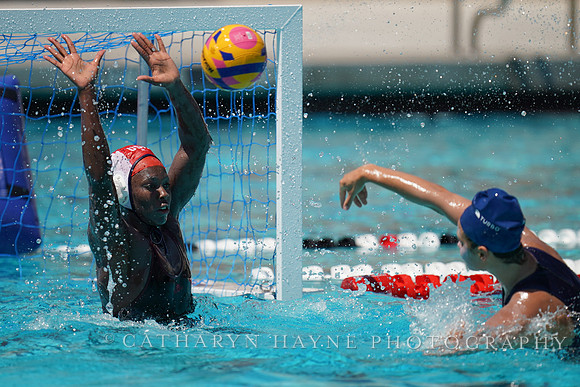 2023 Water Polo World Cup Finals: USA vs NED