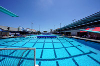 2023 Water Polo World Cup Finals: USA vs NED