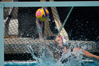 2023 Water Polo World Cup Finals: USA vs NED
