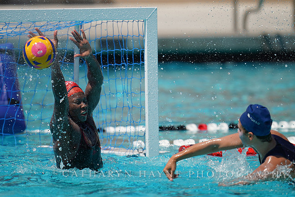2023 Water Polo World Cup Finals: USA vs NED