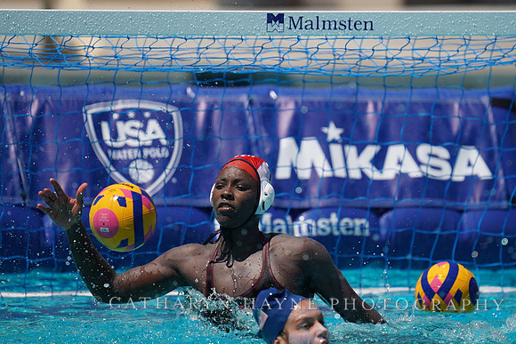 2023 Water Polo World Cup Finals: USA vs NED