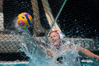 2023 Water Polo World Cup Finals: USA vs NED