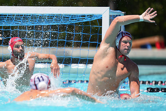 Marko Vavic, Chase Dodd