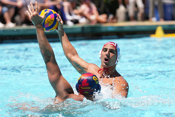 Luca Cupido