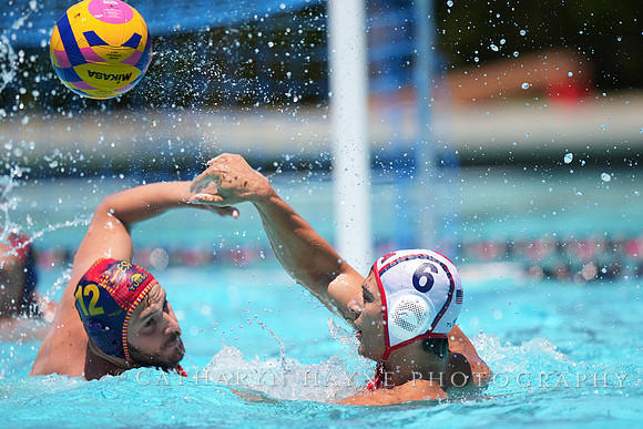 Alex Bustos, Luca Cupido