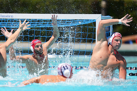 Marko Vavic, Drew Holland, Chase Dodd
