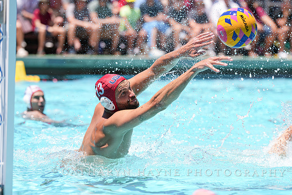 Drew Holland