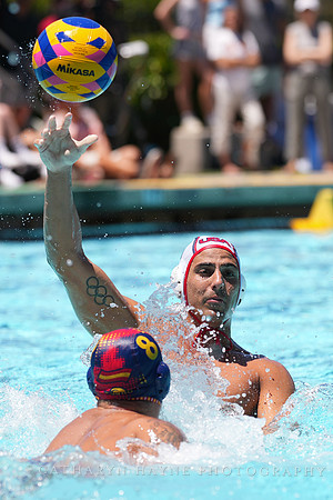 Luca Cupido