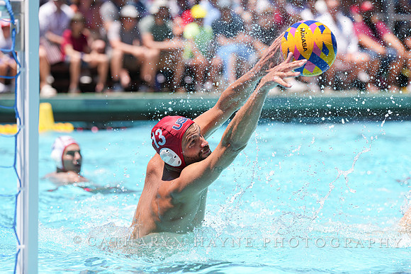 Drew Holland