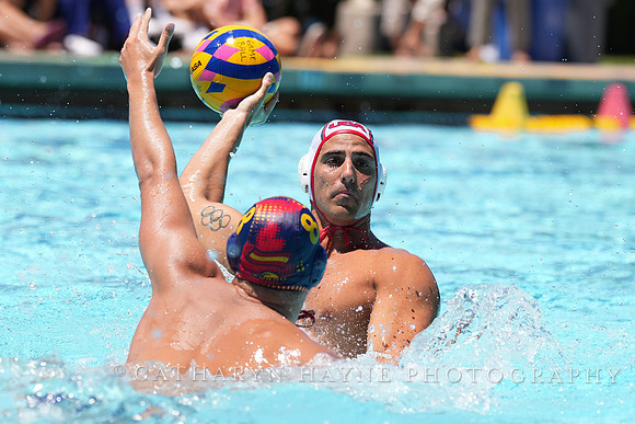 Luca Cupido