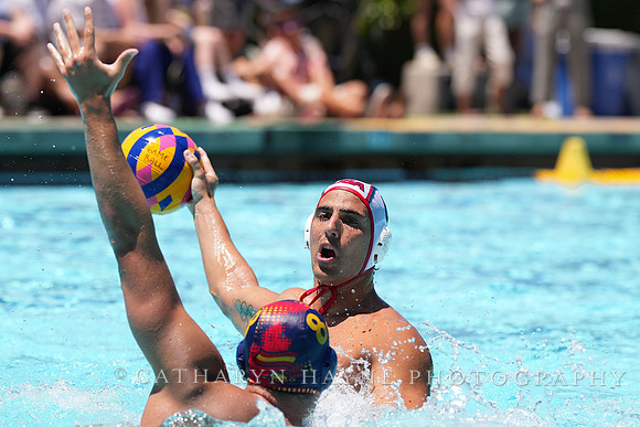 Luca Cupido