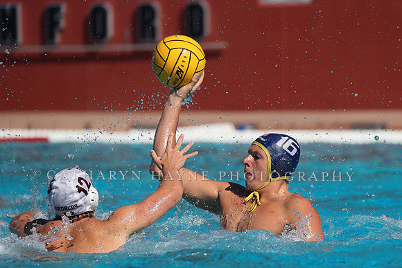 Collegiate Men's Water Polo: MPSF Invitational: UC San Diego Tritons vs Santa Clara University Broncos