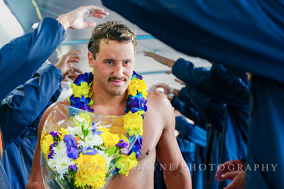 Nik Mirkovic