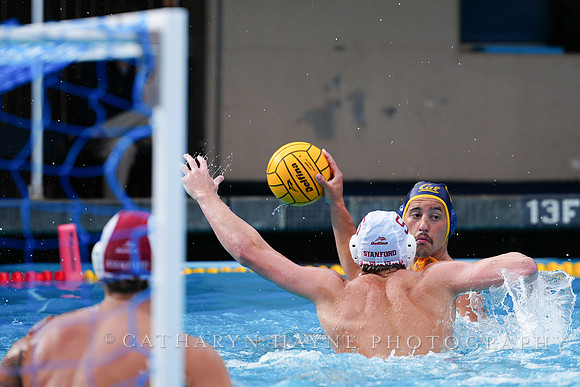 Nik Mirkovic