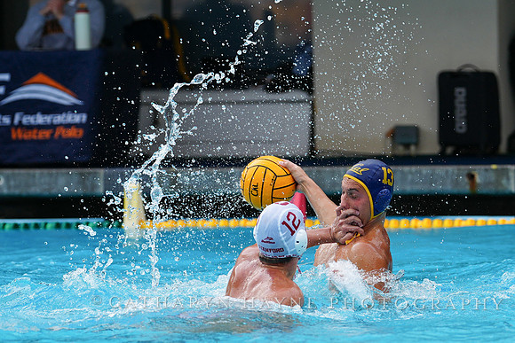Patrik Kolak