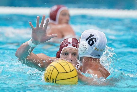 MWP: Stanford Cardinals vs Long Beach State 49ers
