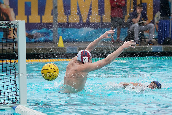 MWP:California Golden Bears vs UCSB Gauchos