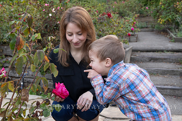 Mini Sessions: Giacalone