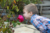 Mini Sessions: Giacalone