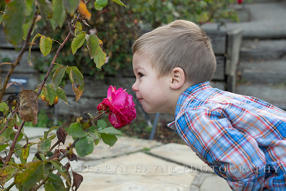 Mini Sessions: Giacalone