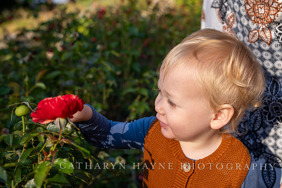 Mini Sessions:Weirsma