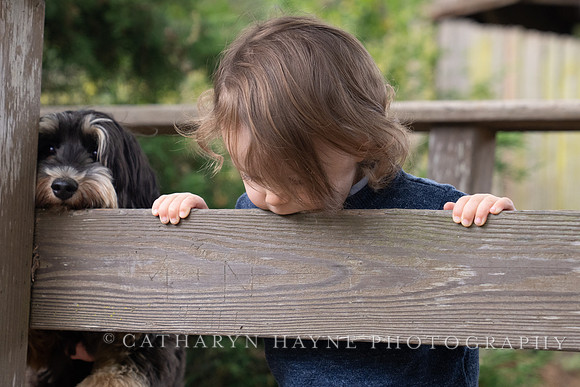 Mini Sessions: Avellar
