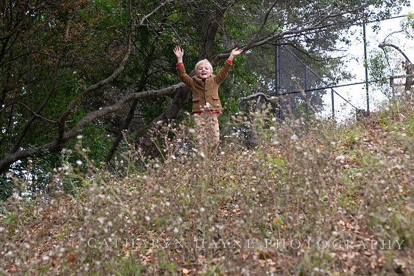 Mini Sessions: Rauh