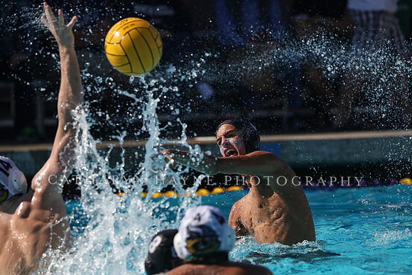 High School Water Polo: Redwood High School Varsity vs Palo Alto High School Varsity