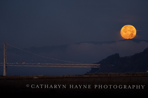 Moonset Alameda