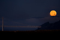 Moonset Alameda