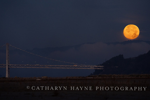 Moonset Alameda