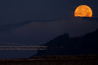 Moonset Alameda