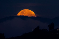 Moonset Alameda
