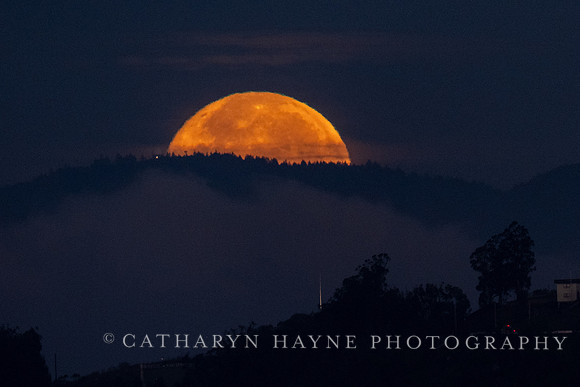 Moonset Alameda