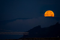 Moonset Alameda