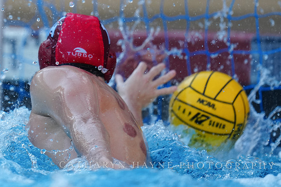 MWP: Fordham University Rams vs San Jose State University Spartans