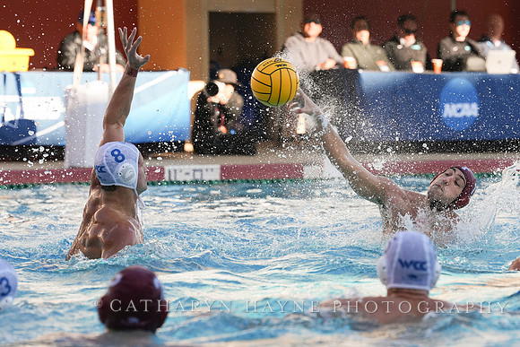 MWP: Fordham University Rams vs San Jose State University Spartans