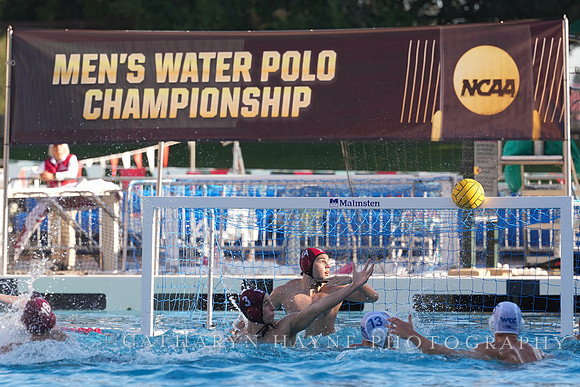 MWP: Fordham University Rams vs San Jose State University Spartans