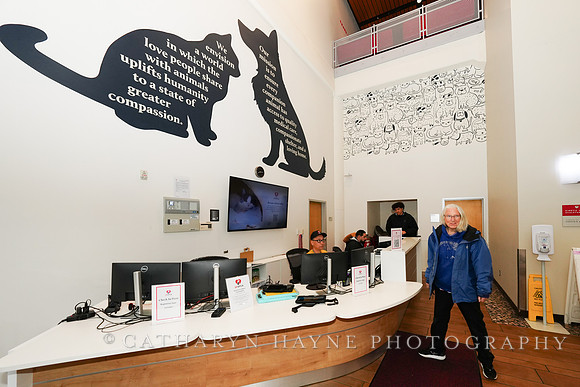 SF SPCA: Champions for Pet Health