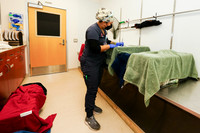 SF SPCA: Champions for Pet Health