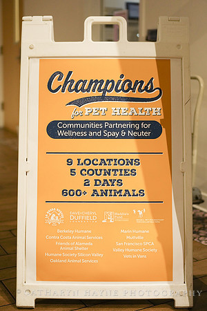 SF SPCA: Champions for Pet Health