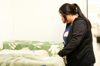 SF SPCA: Champions for Pet Health