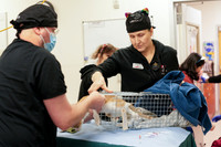SF SPCA: Champions for Pet Health