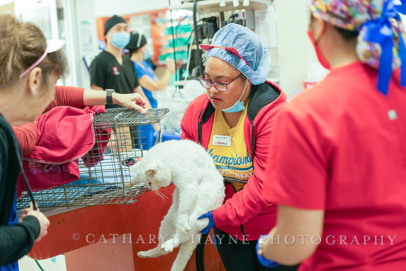 SF SPCA: Champions for Pet Health
