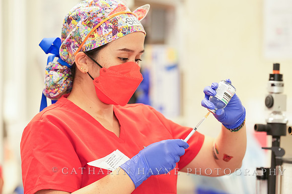 SF SPCA: Champions for Pet Health